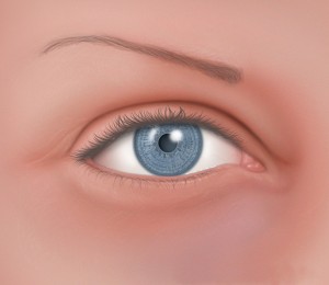El ojo de raza blanca