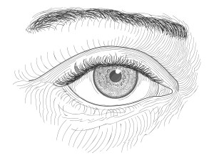 El ojo de raza negra, dibujo